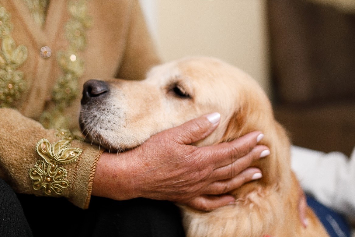 Four-legged visitors bring comfort, support to staff and patients