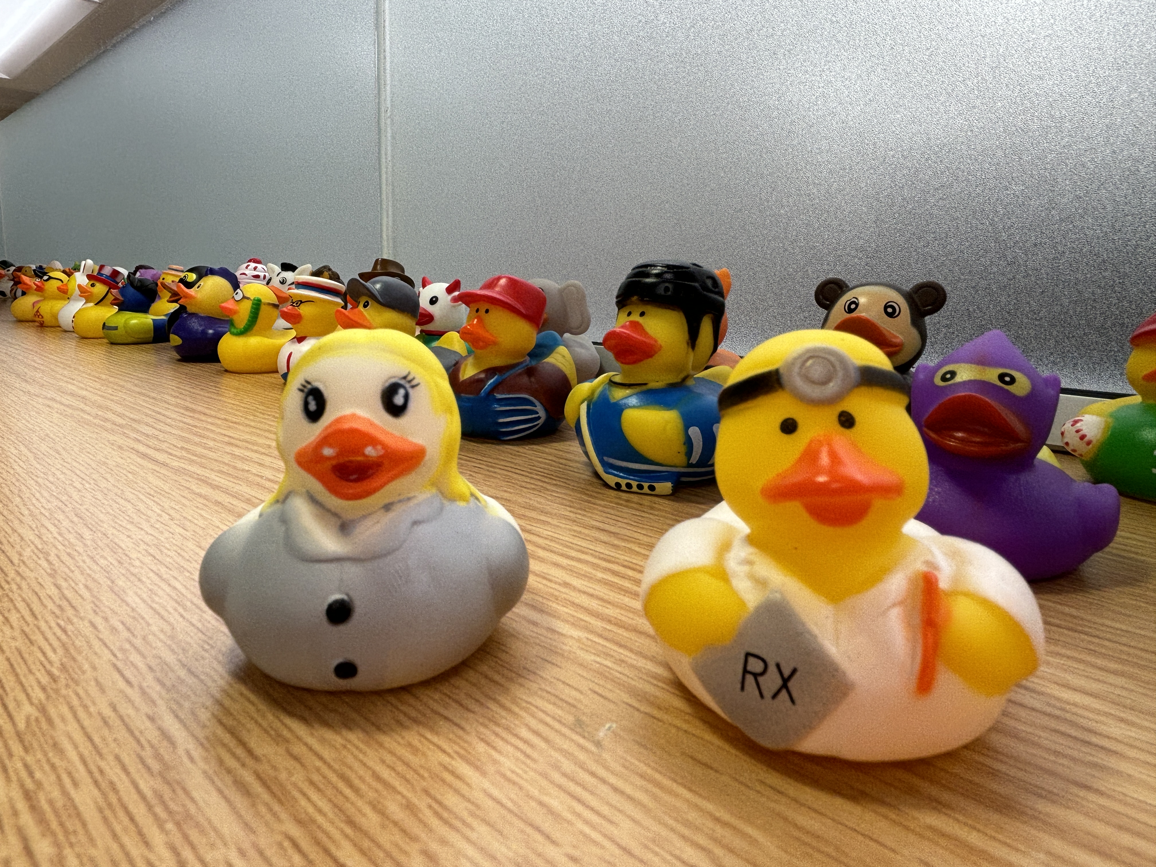 Carle Foundation Hospital welcomes the return of CarleRx, and with it, a collection of ducks