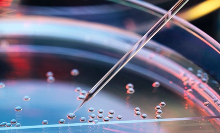 Needle inserted into a petri dish