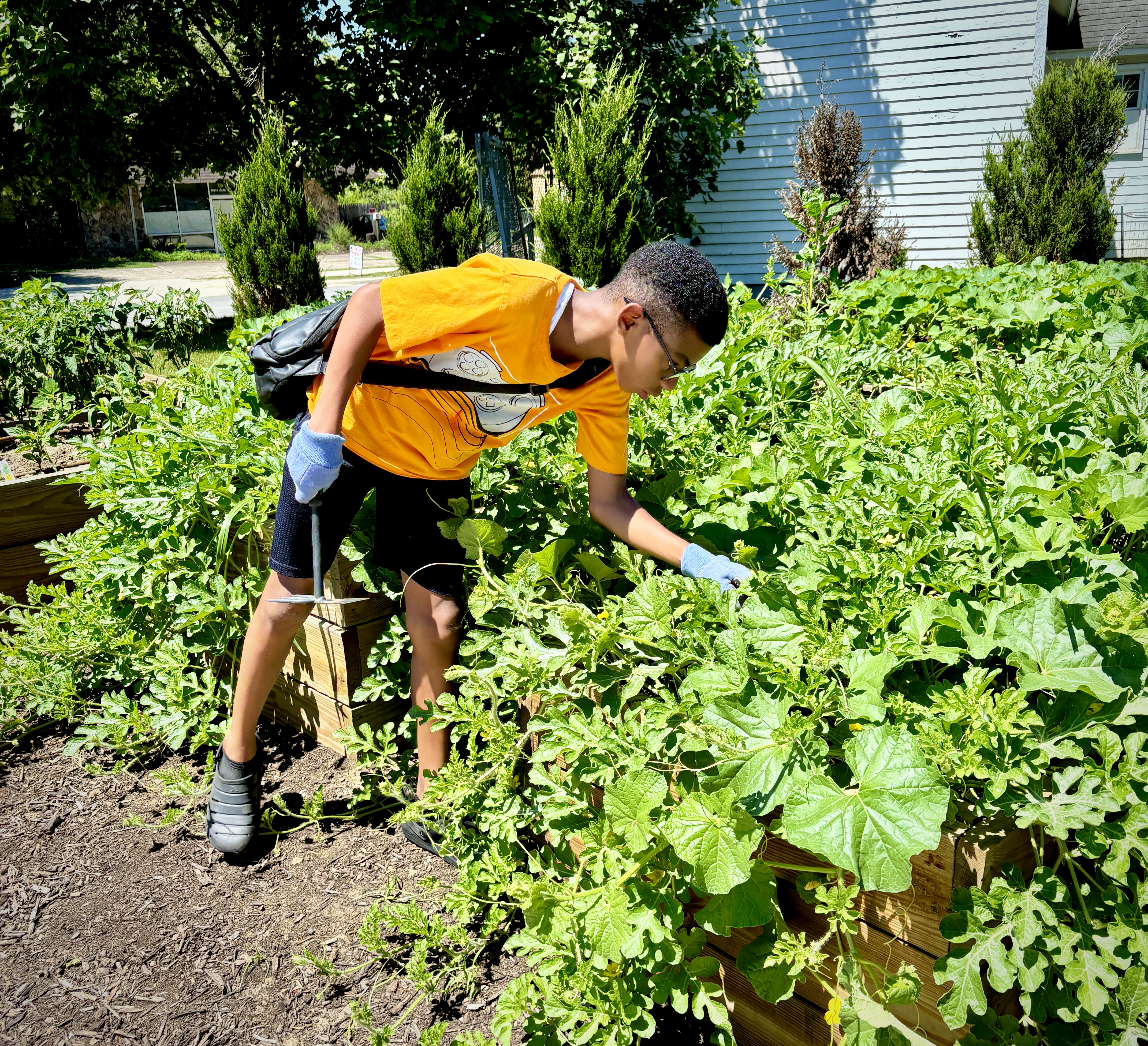 Vermilion County Collaborative puts down roots in a new community garden on Carle Health campus
