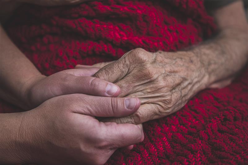 Carle Health Hospice is there to support the patient and family in time of need