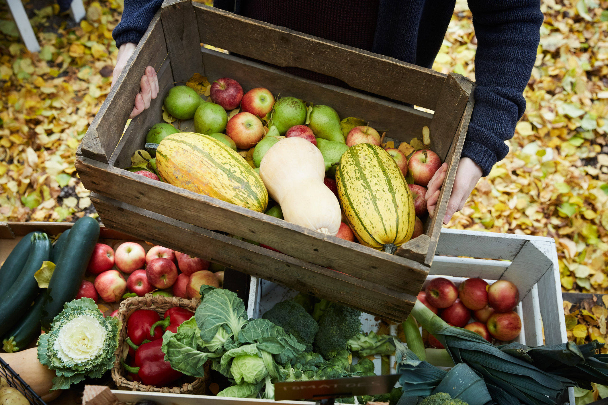 Food in the Fall: Carle Health experts offer tips for healthy autumnal eating